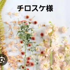 激レアねこパネル生地　ハンドメイド