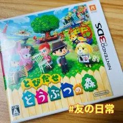 とびだせ どうぶつの森 3DS