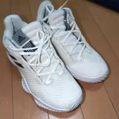 adidas バスケットシューズ ホワイト
