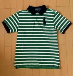 Polo by Ralph Lauren 緑白ストライプ ポロシャツ