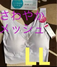 ⚫️⑰GUNZEグンゼLLメッシュKL7555クワイエットパープル　キレイラボ