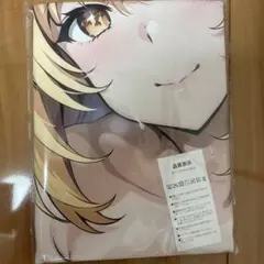 食蜂操祈　B1タペストリー