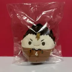 ハイキュー　ふわコロりん　西谷夕