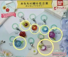 あなたに贈る花言葉めじるしアクセサリー　6種セット