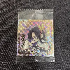 ⭐︎にふぉるめーしょん鬼滅の刃其ノ十三　30胡蝶しのぶ＆胡蝶カナエSEC