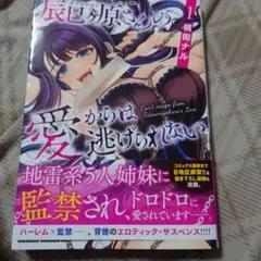 辰巳ヶ原さんの愛からは逃げられない 1