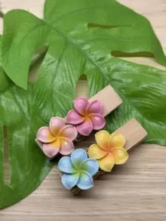 ハンドメイド　プルメリア　クリップ2個セット
