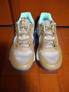Nike ACG Lowcate (ローケート)