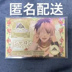 トモチケ　シャヰン　シャイン　キンツア　特典