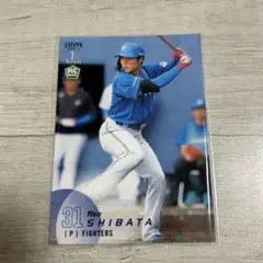 BBM 2025 1st 日本ハム 柴田獅子　ルーキー ノーマル