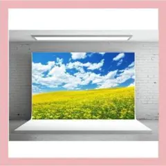 Item thumbnail for item 9691ef59-e338-40ca-a26a-a98dfe2cbe36