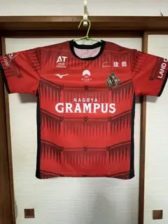 Item thumbnail for item 68c3cc86-652e-4fb6-b3bb-eeb743f067cc