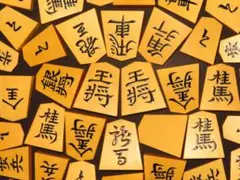 ショウ　銘木黒柿　将棋駒　草書体 2025年最新】将棋 草書の人気アイテム - メルカリ