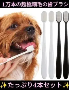 Item thumbnail for item 24b1244e-f6ac-4e9f-a588-ef0ff3a567fa
