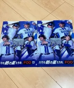 【2枚セット】DeNAベイスターズ クリアファイル　2025FOD