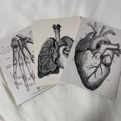 Item thumbnail for item d86b2b42-02cf-4d35-8daa-511109fc113e