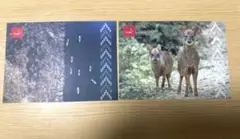 Item thumbnail for item c047e1d2-ad8e-451d-b737-067e5bb29673