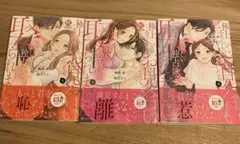 極上エリートとお見合いしたら、激しい独占欲で娶られました　全巻