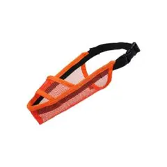 Item thumbnail for item 2f6b2ca6-f6ce-4cbf-ab8f-dcd557f8bd74