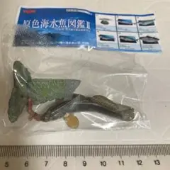 原色海水魚図鑑マハゼ