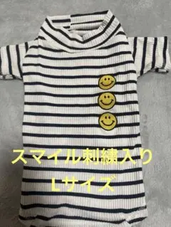 Item thumbnail for item b2e9eae1-49f7-4804-bdb1-f9302b613a45