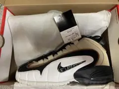 値段交渉可　Nike Air Max Penny
