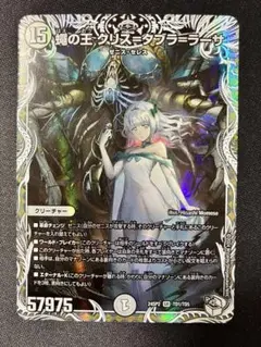 DM24-SP2/TD1/SR/蠅の王 クリス＝タブラ＝ラーサ