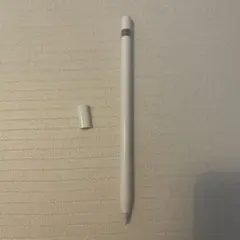 Apple Pencil第1世代 & EarPods セット