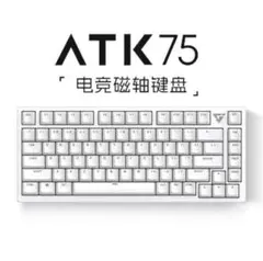 VXE ATK75 L版 ホワイト
