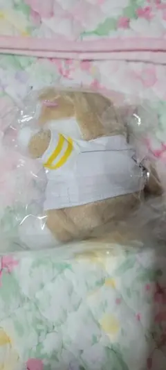 栗原 ぬいぐるみ 24番 白いシャツ