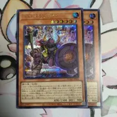 ドドドウォリアー　シークレット2枚セット