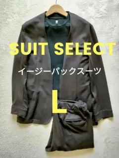 イージーパックスーツ 3点セット L