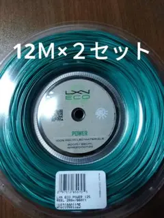 ルキシロン エコパワー125 12Ｍ×２セット