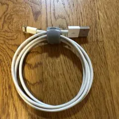 Lightningケーブル 約1メートル USB-A接続【正規品】