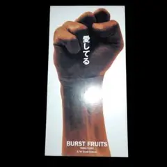 即発送 レア BURST FRUITS 愛してる TKDA-71202 CD