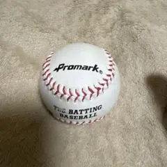 Promark THE BATTING BASEBALL