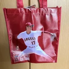 大谷選手のビニールバック