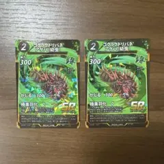 蟲神器　ゴクラクトリバネアゲハ(幼虫)