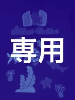 にじ　さかな　ブラックパネル