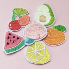【6種セット】フルーツ 刺繍 アイロン ワッペン アップリケ 果物 FR6-3