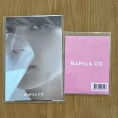 SEVENTEEN ジョンハン バニラコ 特典セット