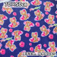 日焼けキティ デニム風　ハローキティ　サーフデザイン 平成レトロ キティ 生地