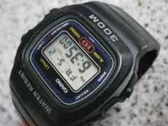 2025年最新】CASIO DW-310の人気アイテム - メルカリ
