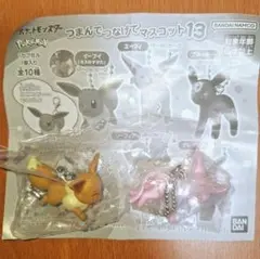 ポケットモンスター　つまんでつなげてマスコット13　イーブイ　エーフィ