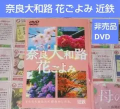 Item thumbnail for item dc21d354-db7e-4700-9e8d-b2b8dbc91cd2