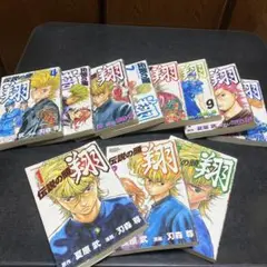 漫画　伝説の頭　翔　全巻セット