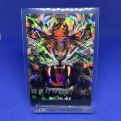 RIZINポテトスティックポスターカードコレクションNo.19 RIZIN.41