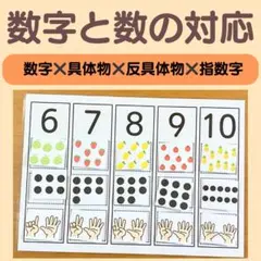 数と量の対応マッチング教材 6〜10 療育　療育グッズ　知育　特別支援教育　教材