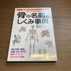 ぜんぶわかる骨の名前としくみ事典 : 部位別にわかりやすくビジュアル解説