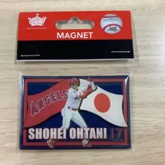大谷翔平マグネット